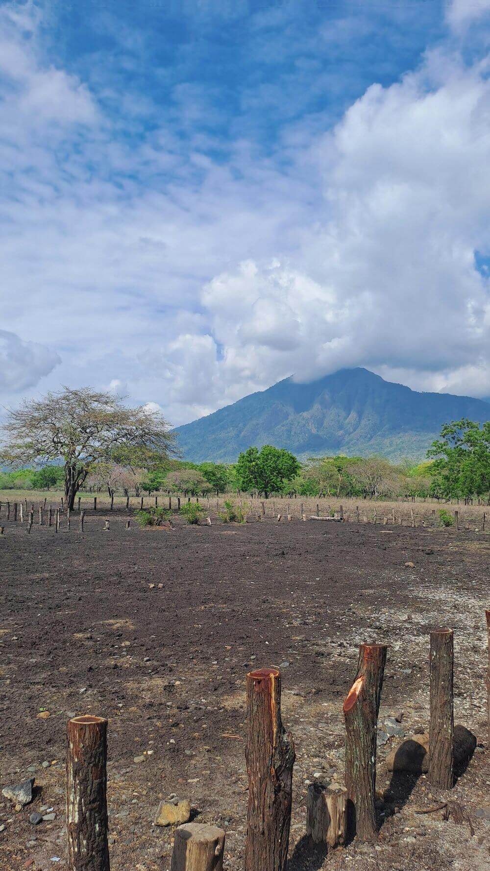 Baluran National Park